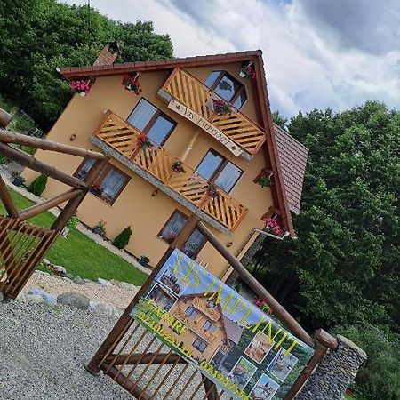 Vis Implinit Hotel Cartisoara Exterior photo