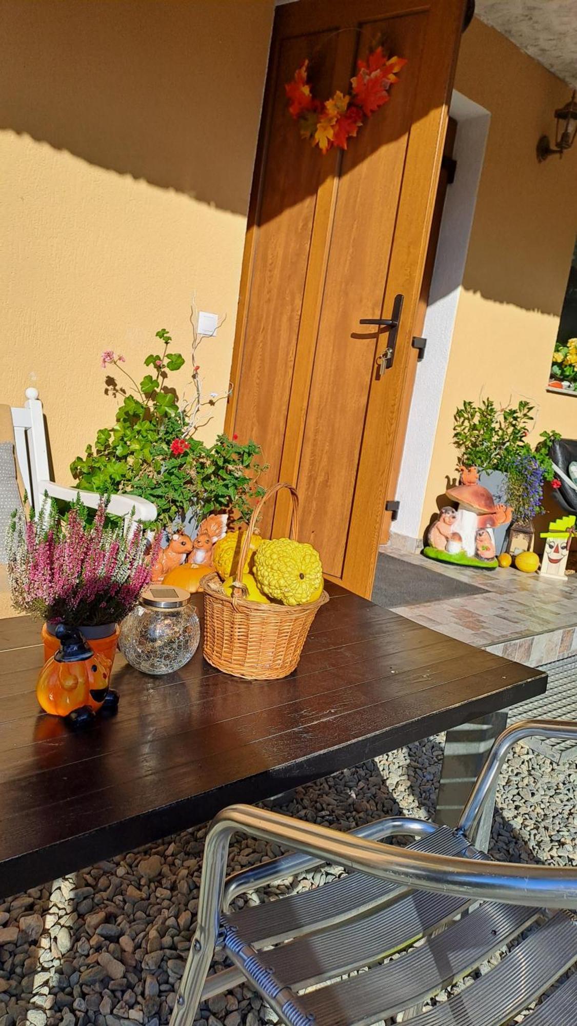 Vis Implinit Hotel Cartisoara Exterior photo