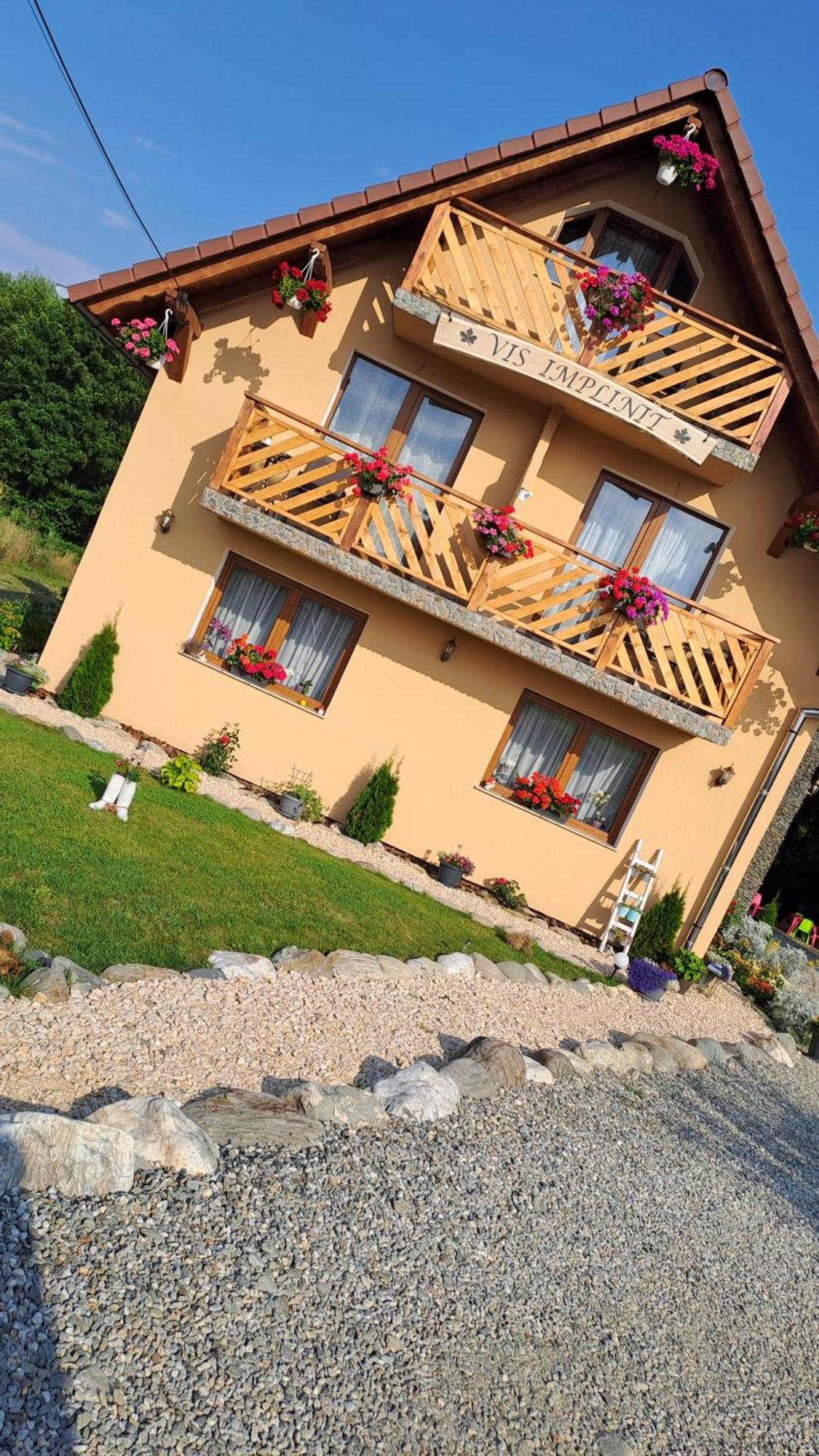 Vis Implinit Hotel Cartisoara Exterior photo