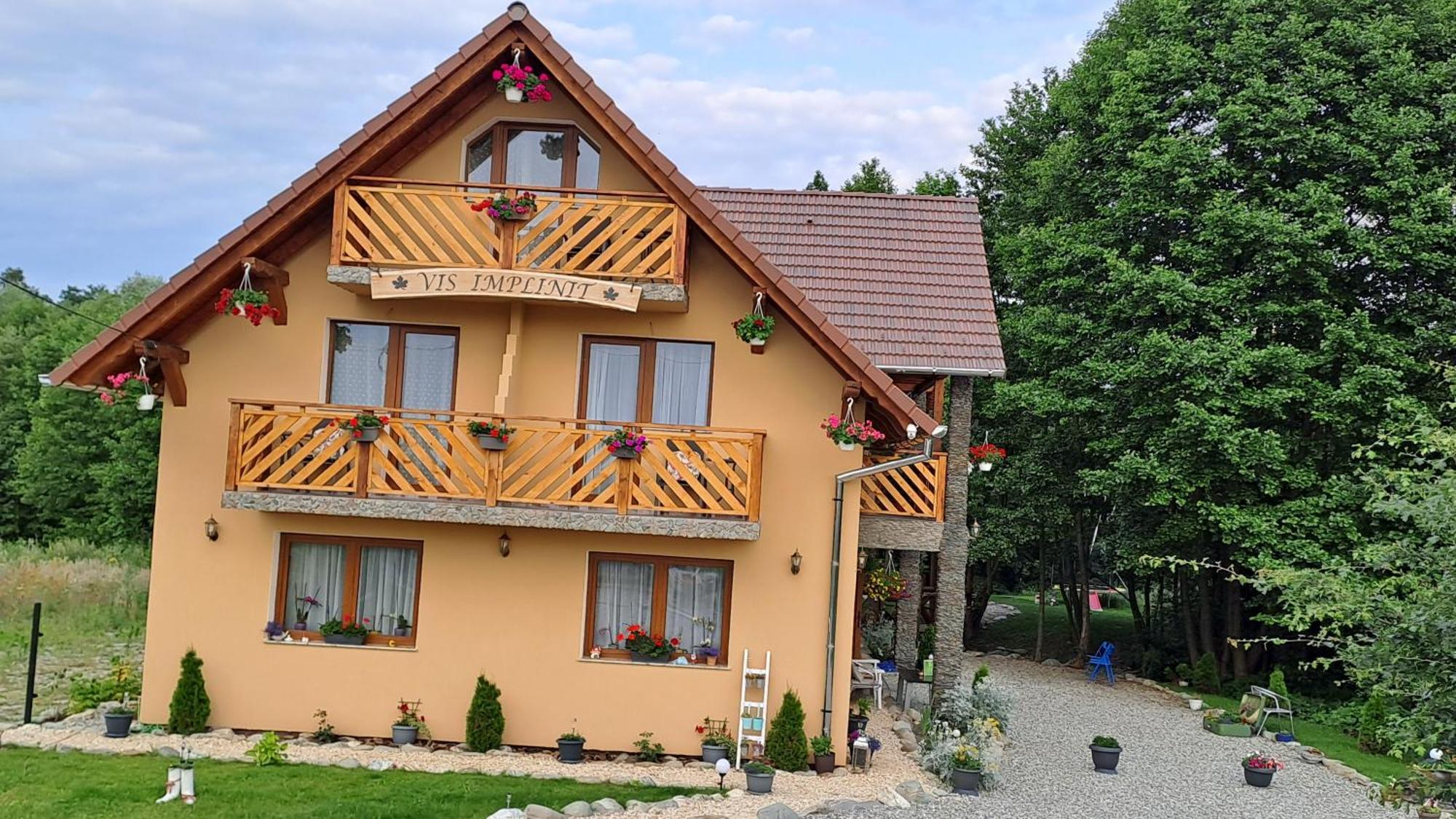 Vis Implinit Hotel Cartisoara Exterior photo