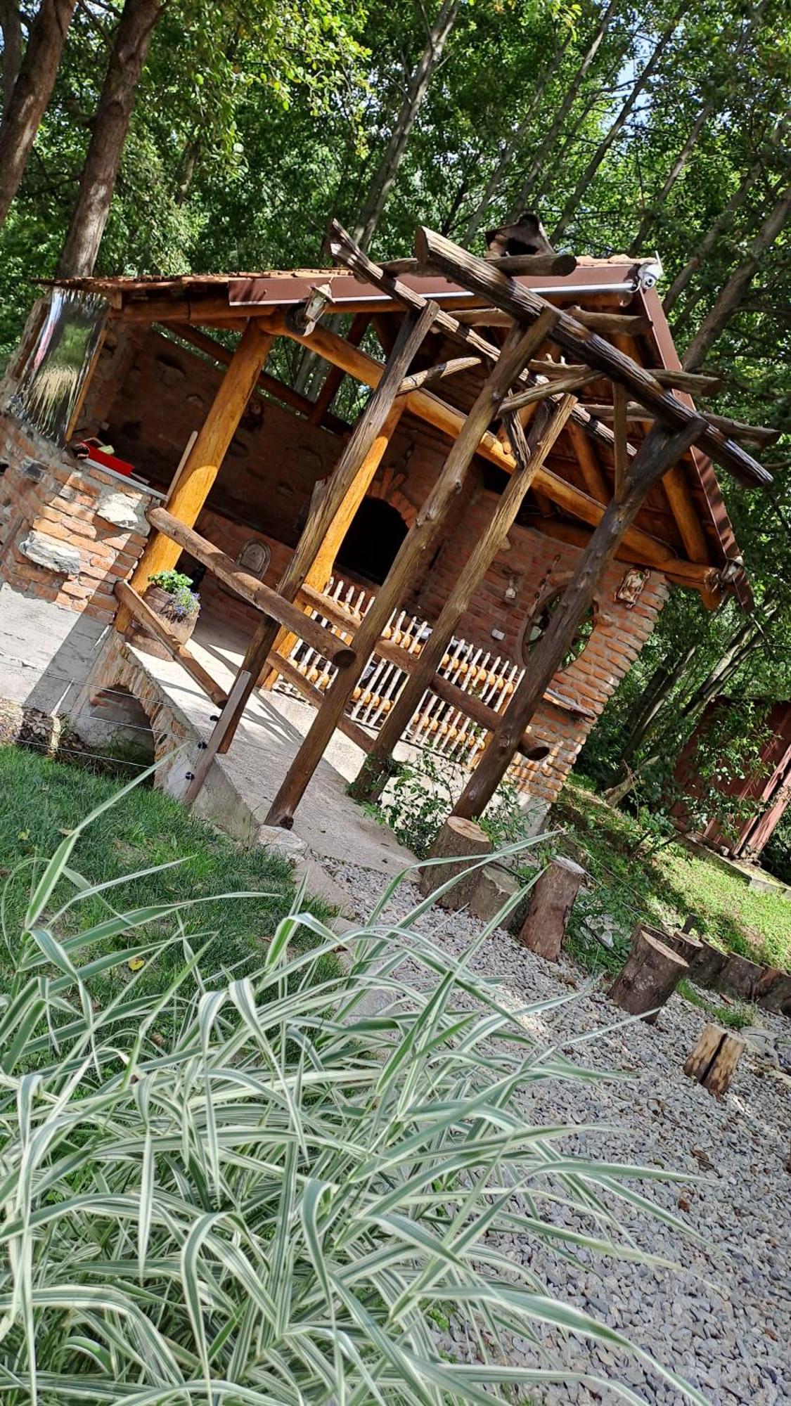 Vis Implinit Hotel Cartisoara Exterior photo
